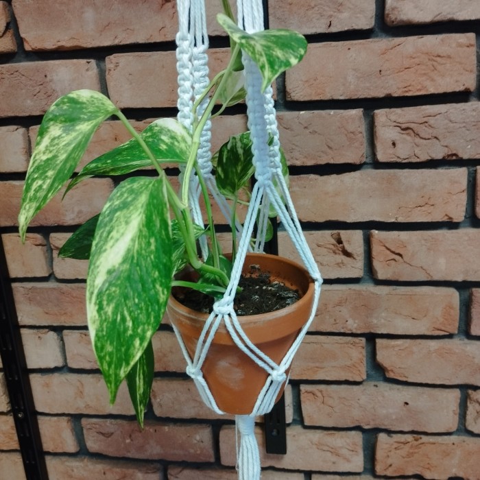 MAKRAMA wisząca na kwiaty, kwietnik RĘKODZIEŁO