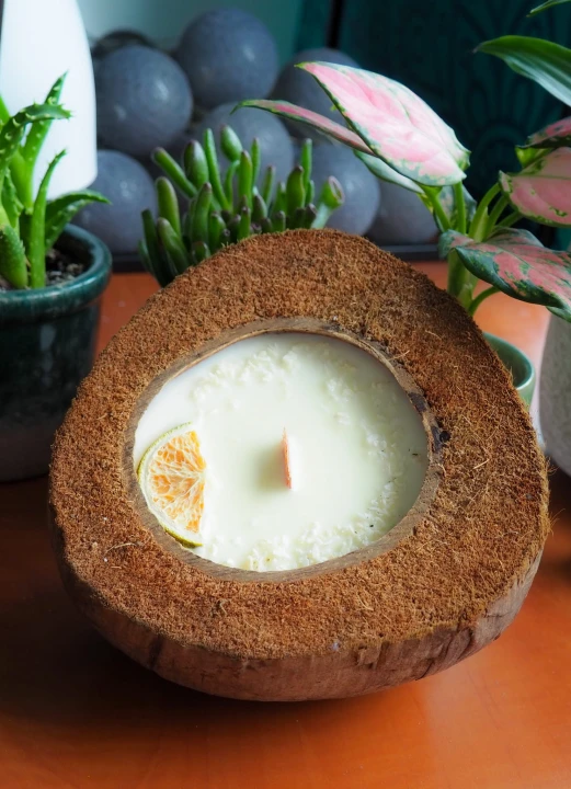 Świeca sojowa w KOKOSIE, duża - Egzotyczna, 600 ml